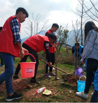 凝聚青春力量，共建綠美雅安――我校青年志愿者參加公益植樹活動(dòng)